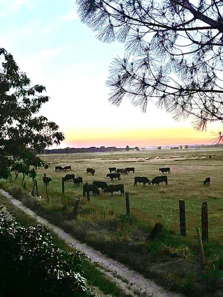 Vila La Casa Del Cipres Aldeamayor de San Martin Exteriér fotografie